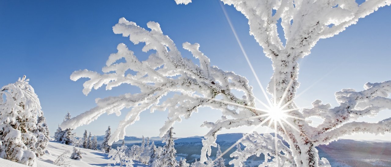 Schwedischer Winterzauber