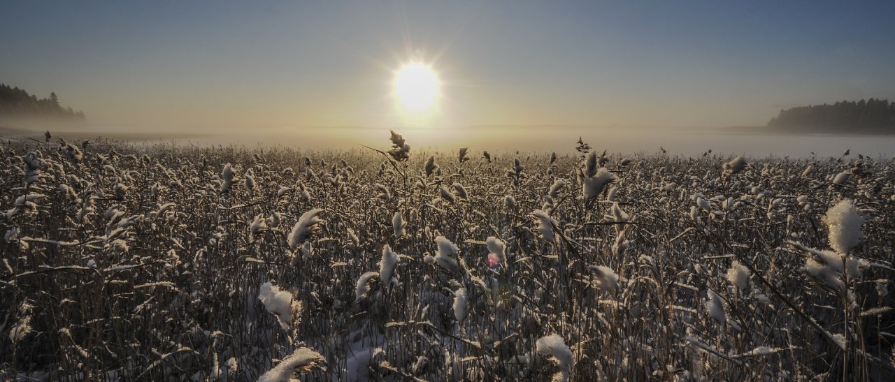 Vuokatti Sonnenlicht auf Seenlandschaft