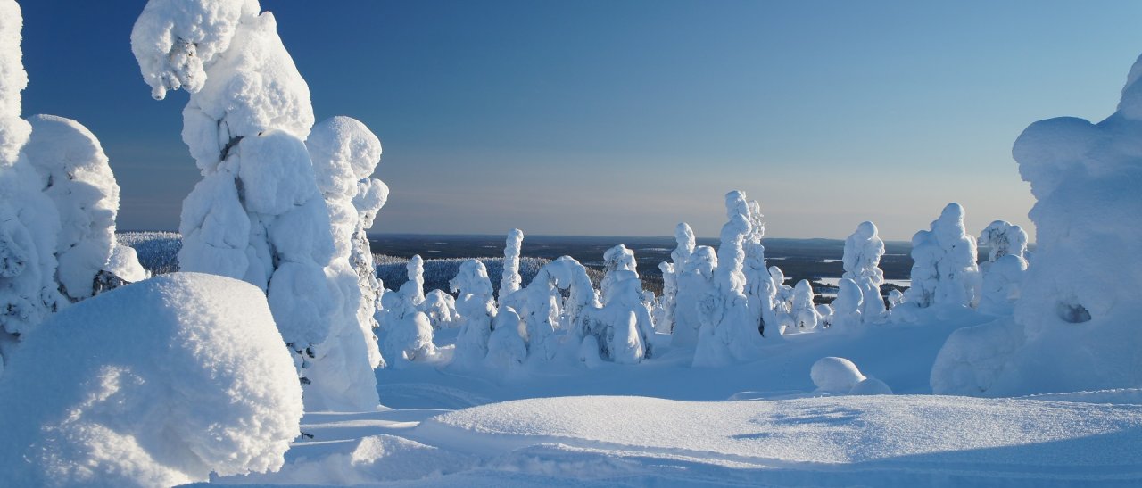Spectacle féérique des arbres givrés !
