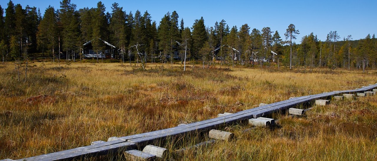Wandern durch die Moorlandschaft